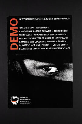 Hinsehen statt Wegsehen. „Nationale Jugend Schweiz“ terrorisiert Weinfelden.  Demo