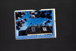 Vom Winde verweht. Die Bachmatt bittet zum letzten Tanz