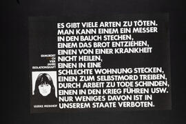 Ulrike Meinhof. Ermordet durch vier Jahre Isolationshaft