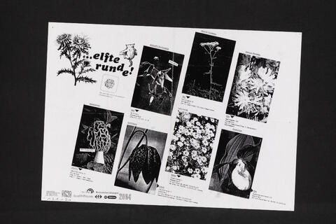 Open original Digitales Objekt