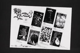 Squat-Gourmet 11. Runde